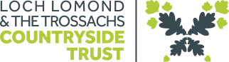 Main Logo